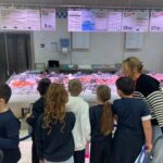 PROGETTO “SCOPRIAMO LA SPESA” – classe 2^A S.P. Mantegna 8