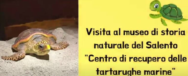 “INSIEME…SI PUÒ” – UDA DI EDUCAZIONE CIVICA- 4^A e 4^B S.P. MANTEGNA